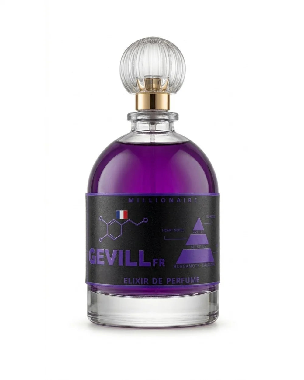 GEVILL FRANCE MILLIONAIRE